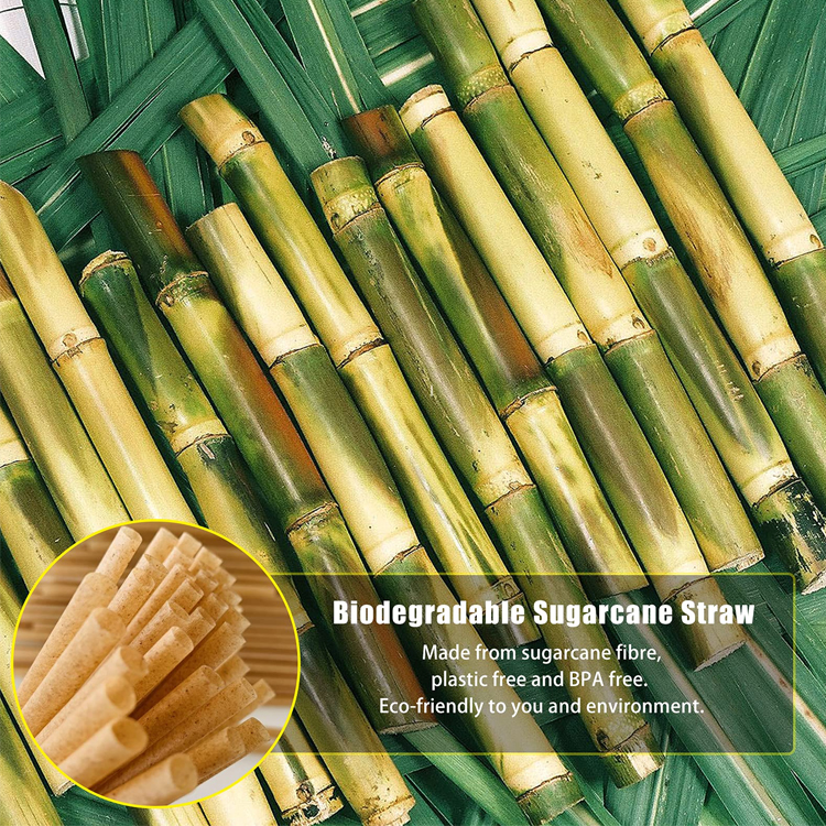 Sugarcane Straw