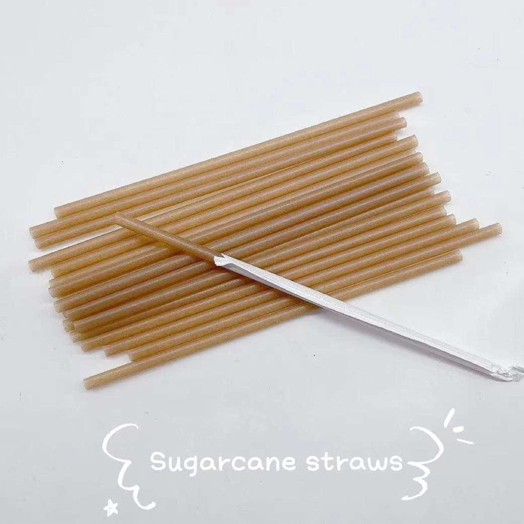 Sugarcane Bagasse Straw