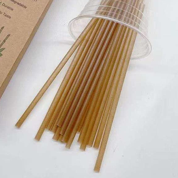 Sugarcane Bagasse Straw