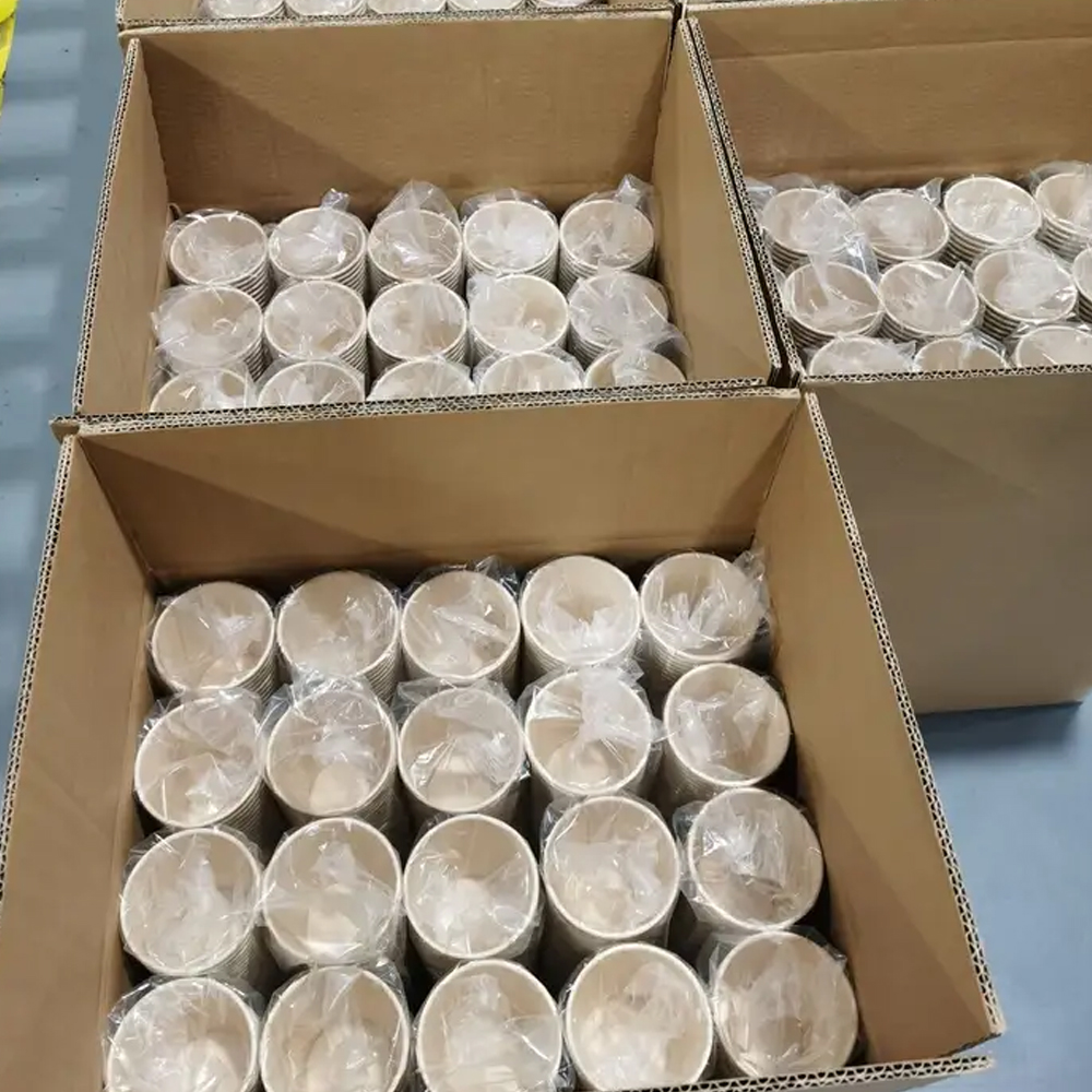 Custom Eco-Friendly Biodegradable Coffee Paper Cups With Lids