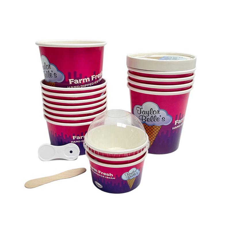 Disposable Ice Cream Container with Lids