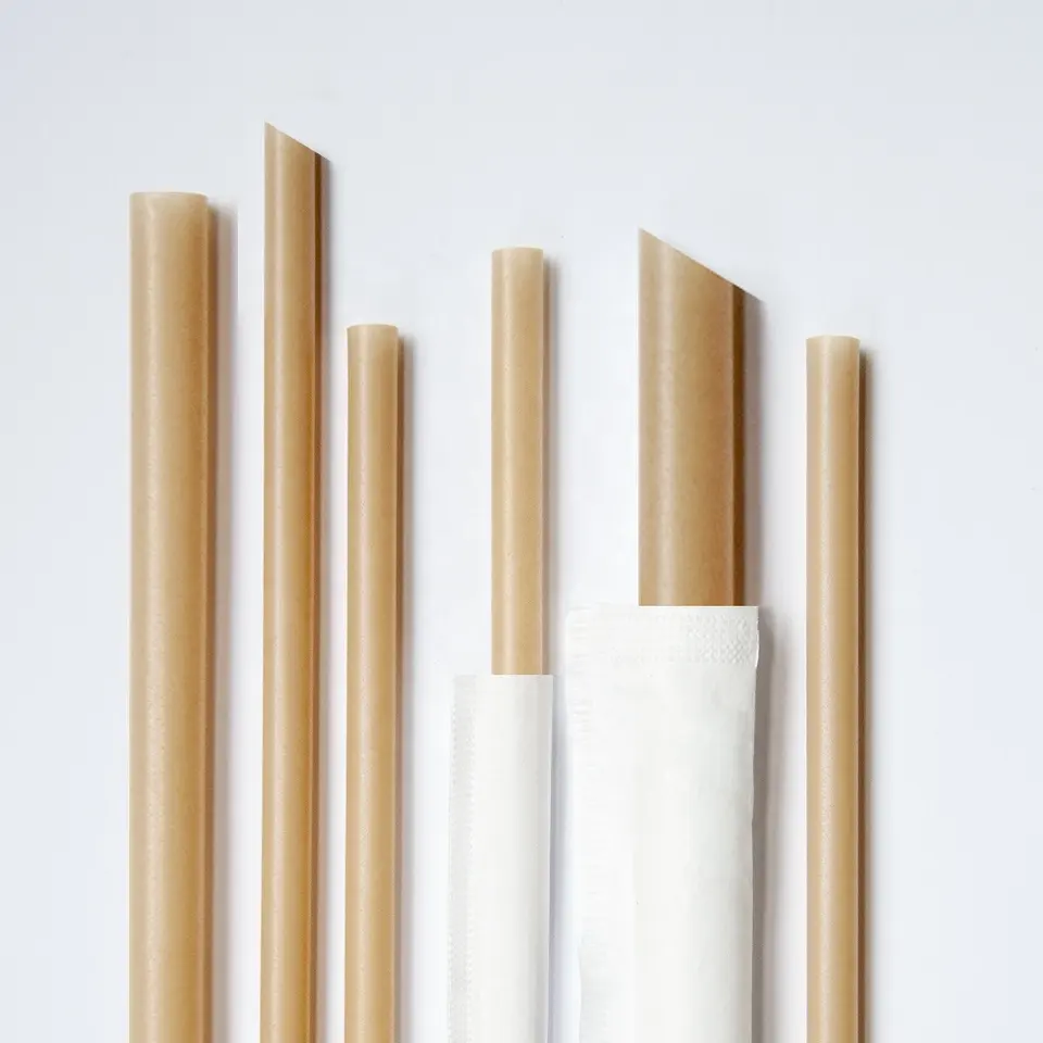 Biodegradable Bagasse Straws