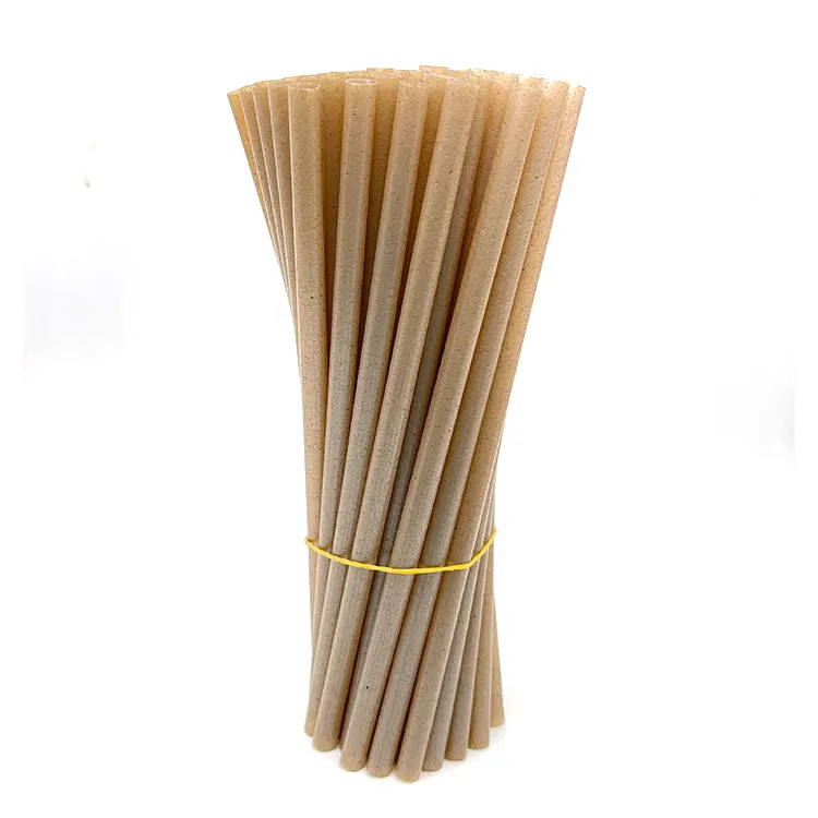 Biodegradable Bagasse Straws