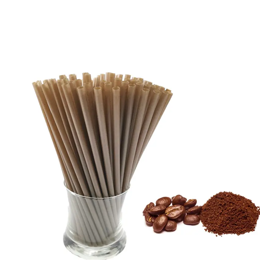 Biodegradable Bagasse Straws