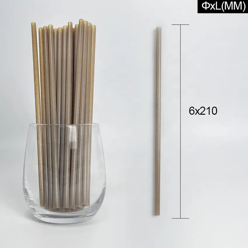 Biodegradable Bagasse Straws