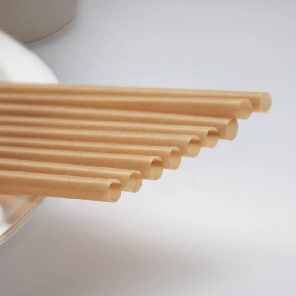 Biodegradable Bagasse Straws