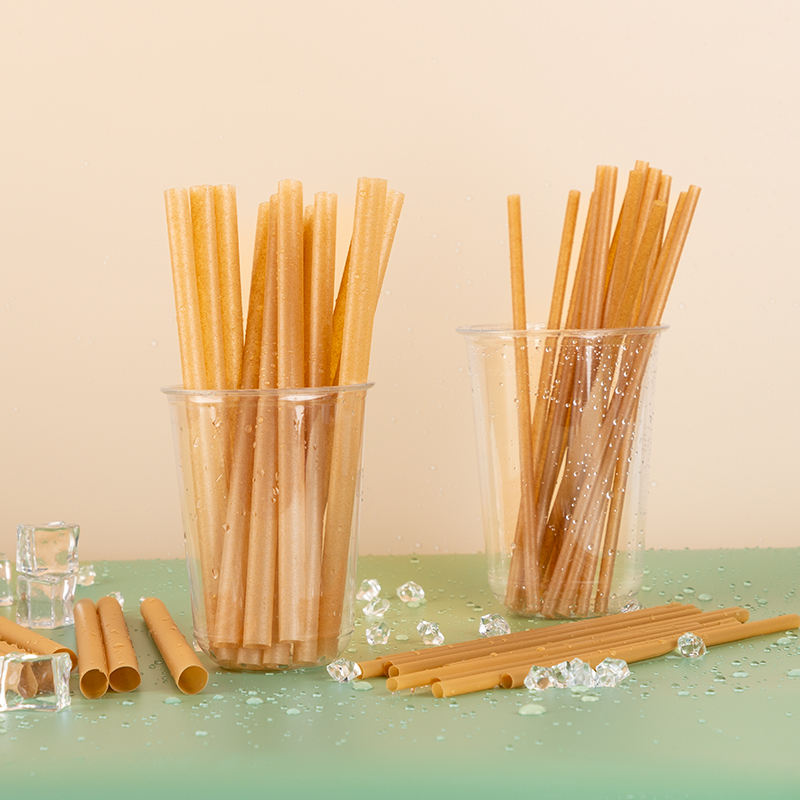 Bagasse Straws Eco Friendly Biodegradable