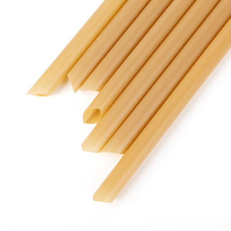 Bagasse Straws Eco Friendly Biodegradable