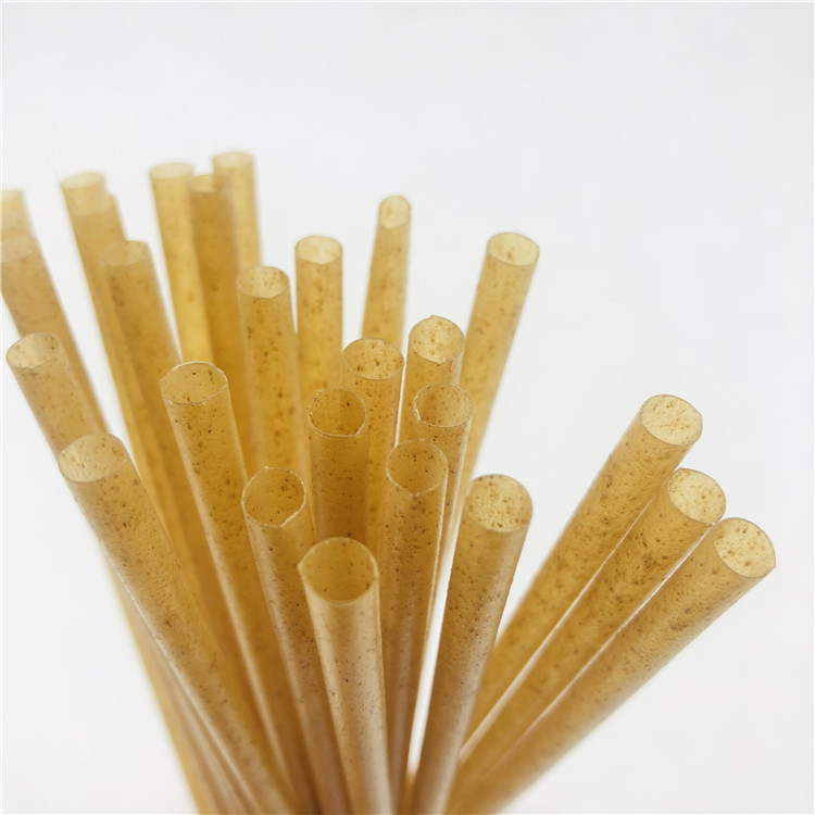 Natural Sugarcane Bagasse Straw