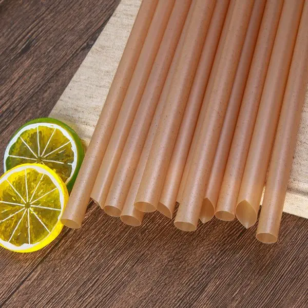 Natural Sugarcane Bagasse Straw