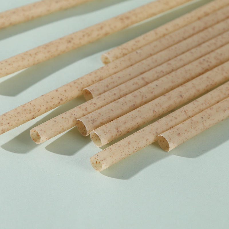 Compostable Sugarcane Drinking Straw