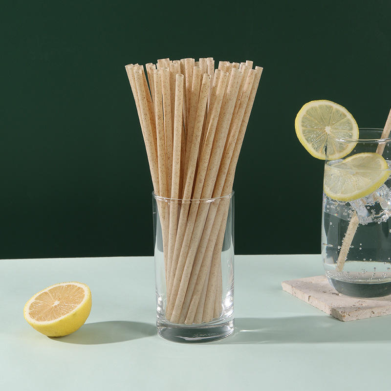 Compostable Sugarcane Drinking Straw