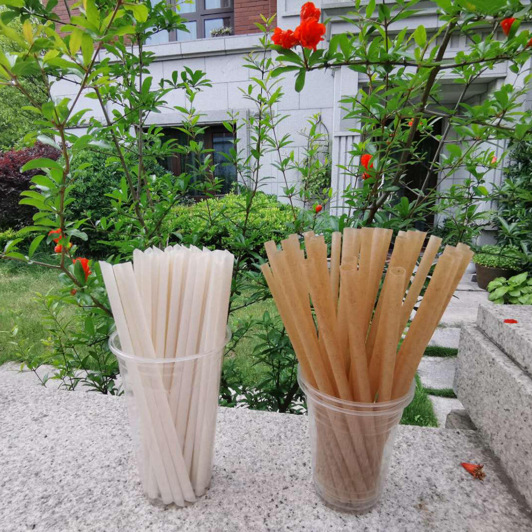 Compostable Sugarcane Drinking Straw