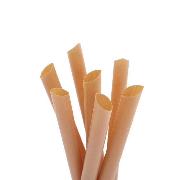 Biodegradable Sugarcane Drink Straws