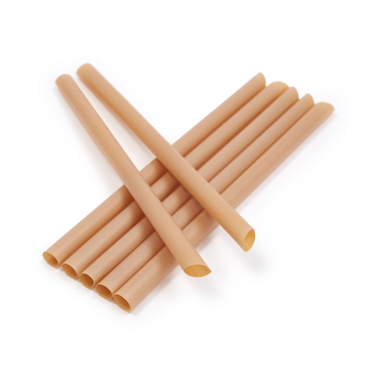 Biodegradable Sugarcane Drink Straws